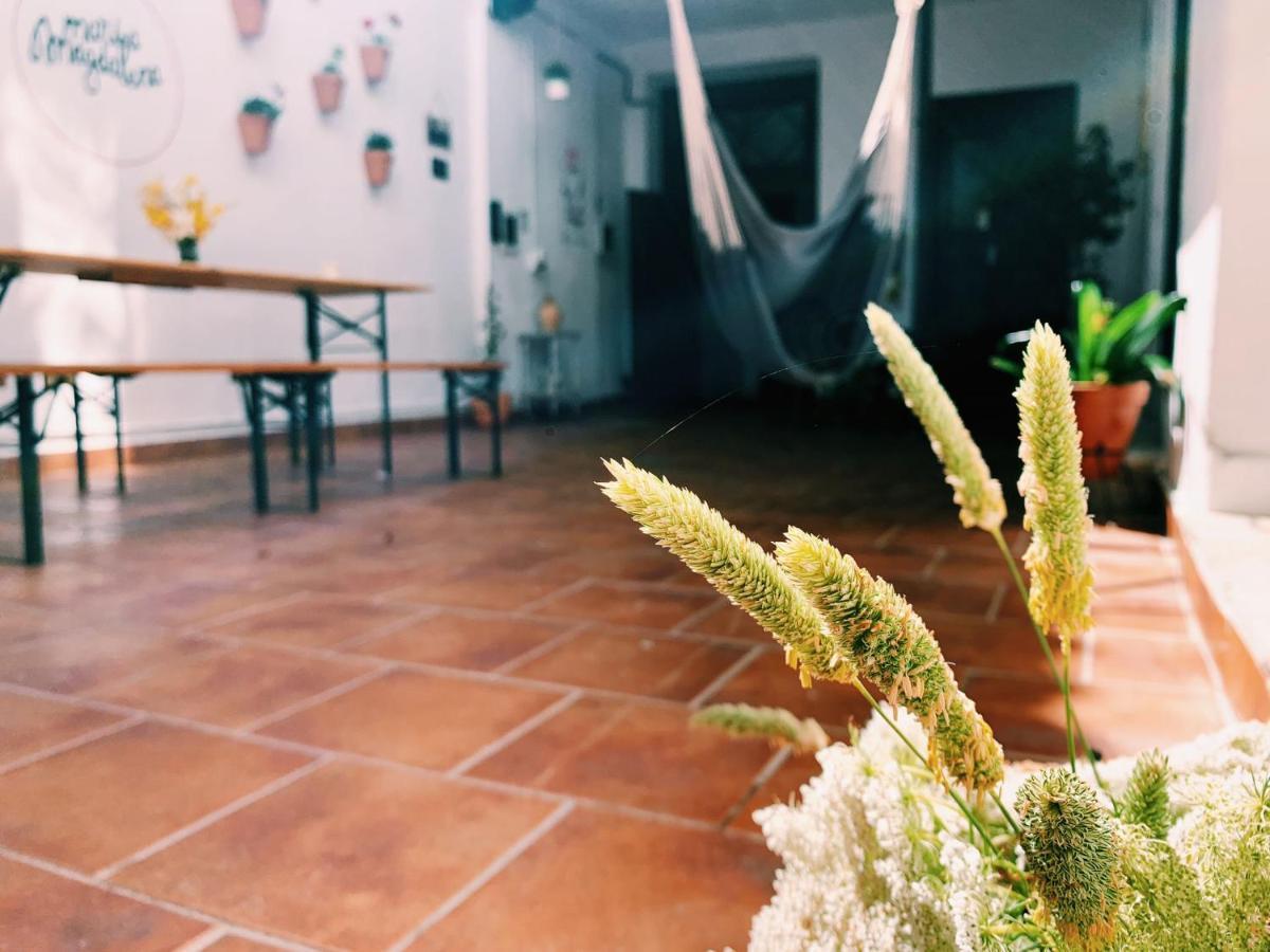 Maria Magdalena - Room 3 Malaga Ngoại thất bức ảnh